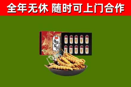 吉木萨尔县回收冬虫夏草价格