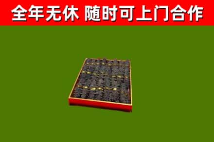 吉木萨尔县回收海参